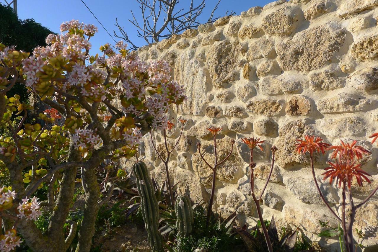 Finca Du Ressourcement Higueron Διαμέρισμα Vejer de la Frontera Εξωτερικό φωτογραφία