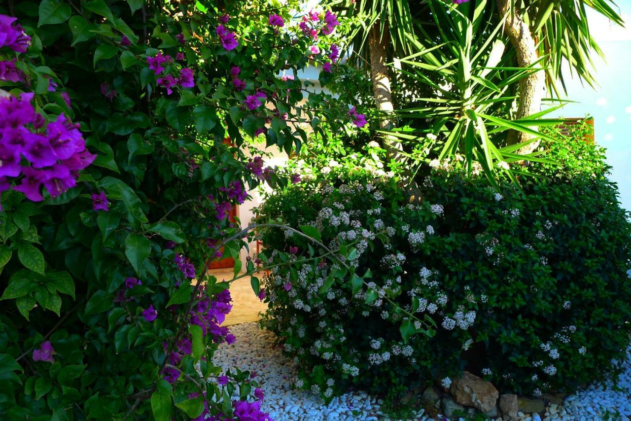 Finca Du Ressourcement Higueron Διαμέρισμα Vejer de la Frontera Εξωτερικό φωτογραφία