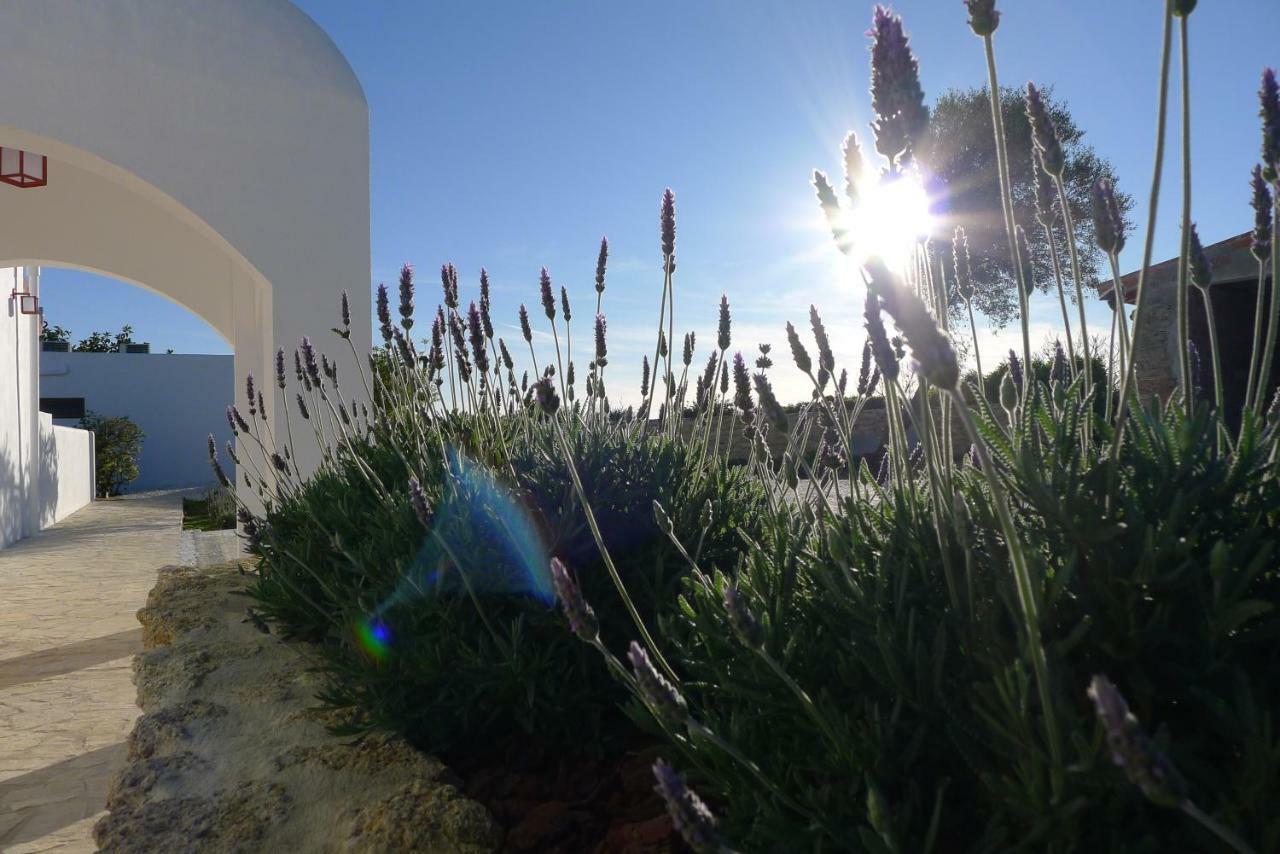 Finca Du Ressourcement Higueron Διαμέρισμα Vejer de la Frontera Εξωτερικό φωτογραφία