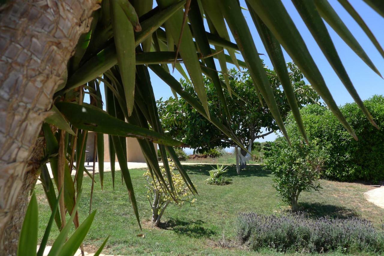 Finca Du Ressourcement Higueron Διαμέρισμα Vejer de la Frontera Εξωτερικό φωτογραφία